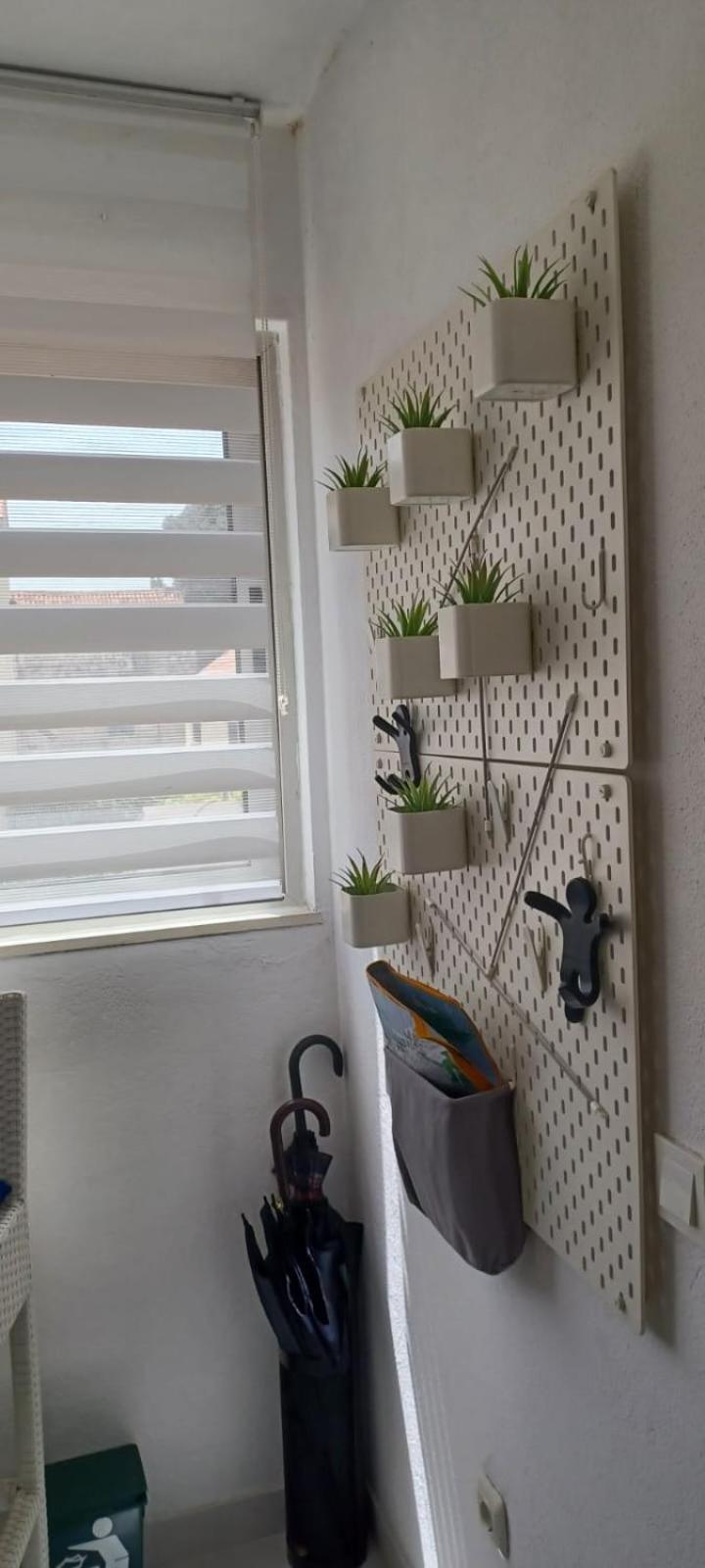 ספליט Apartments Sonja מראה חיצוני תמונה